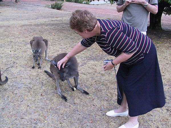 Joan can't resist a little pat.