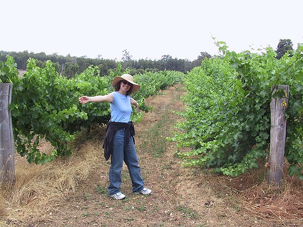 Samantha at King Tree's vineyard