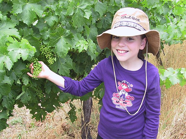 Olivia showing baby grapes.