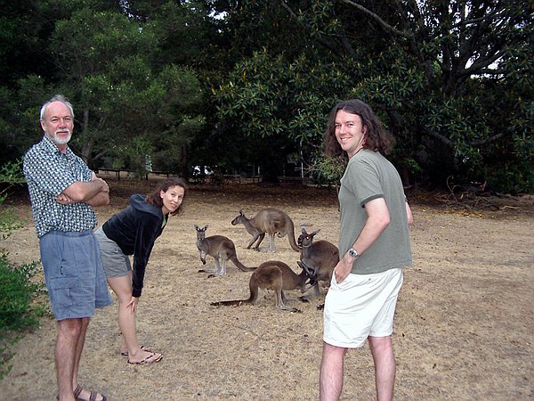 Fun with kangaroos!