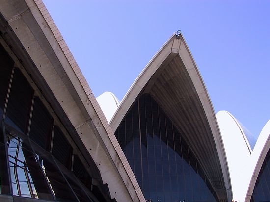 The sails.